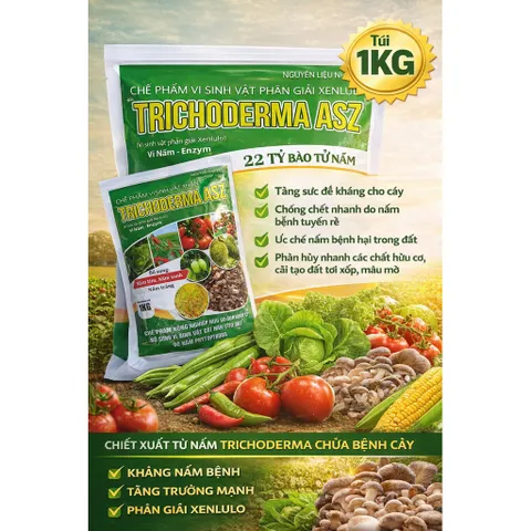 Trichoderma ASZ 1KG – Trị Tuyến Trùng Rễ Hiệu Quả, Diệt U Sưng Rễ, Kích Rễ Mạnh, 22 Tỷ Bào Tử