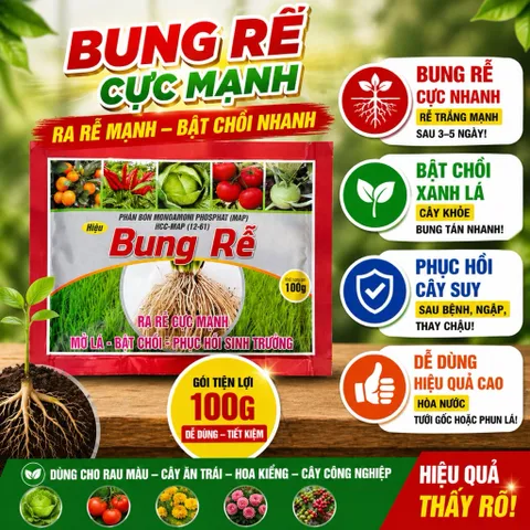Siêu Lân 60+ 100g | Kích Rễ Cực Mạnh, Bật Chồi Nhanh, Phục Hồi Cây Suy, Giải Độc Phèn