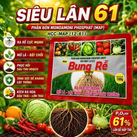 Siêu Lân 60+ 100g | Kích Rễ Cực Mạnh, Bật Chồi Nhanh, Phục Hồi Cây Suy, Giải Độc Phèn