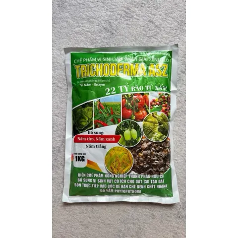 Trichoderma ASZ 1KG – Trị Tuyến Trùng Rễ Hiệu Quả, Diệt U Sưng Rễ, Kích Rễ Mạnh, 22 Tỷ Bào Tử