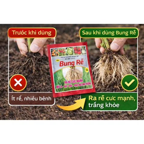 Siêu Lân 60+ 100g | Kích Rễ Cực Mạnh, Bật Chồi Nhanh, Phục Hồi Cây Suy, Giải Độc Phèn