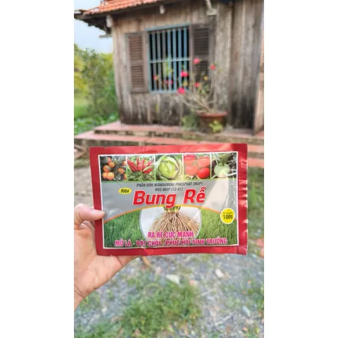 Siêu Lân 60+ 100g | Kích Rễ Cực Mạnh, Bật Chồi Nhanh, Phục Hồi Cây Suy, Giải Độc Phèn