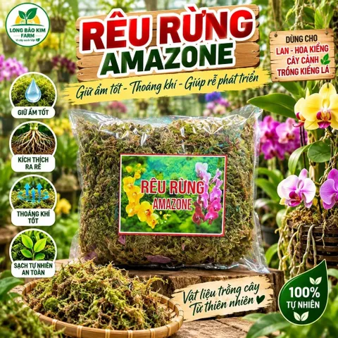 Rêu rừng trồng lan đã qua xử lý 150gram giữ ẩm cho thân và gốc cây