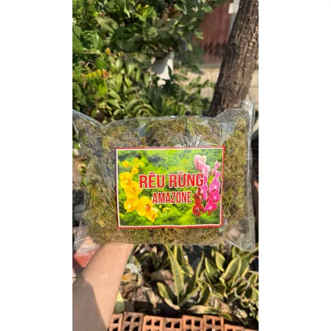 Rêu rừng trồng lan đã qua xử lý 150gram giữ ẩm cho thân và gốc cây