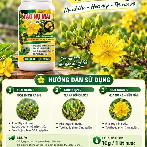 Siêu Lân Tạo Nụ Mai 0-38-7 Dạng Nước 250ml – Kích Nụ Mạnh, Nụ Mai Mập Khỏe, Ra Hoa Đồng Loạt