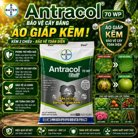 Antracol 70WP Bayer Đức 100g Zinc++ Bảo Vệ Cây Tăng Sức Đề Kháng Phòng Bệnh Cho Cây Trồng
