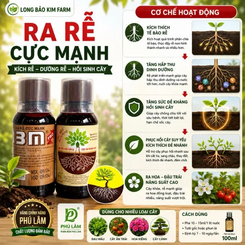 N3M Phú Lâm 100ml Dạng Nước Chính Hãng – Kích Rễ Cực Mạnh, Ra Rễ Nhanh, Dưỡng Rễ Khỏe Cho Cây