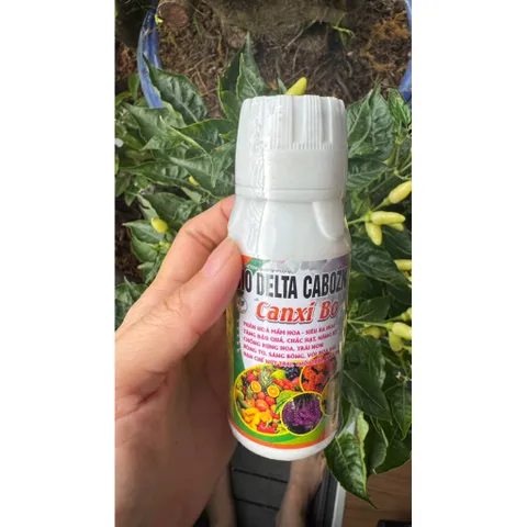 Phân Bón Canxi Bo 100ml – Bổ Sung Canxi Bo, Chắc Trái, Giảm Rụng Hoa