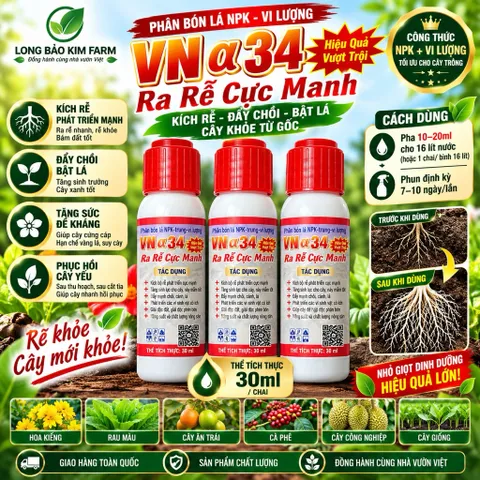 VNα34 Ra Rễ Cực Mạnh 30ml – Phân Bón Lá NPK + Trung Vi Lượng Kích Rễ, Đẩy Chồi, Bật Lá