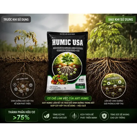 Humic USA 1Kg Axit Humic Hữu Cơ 75%+ Cải Tạo Đất Kích Rễ Tơi Xốp Đất Tan Hoàn Toàn 100%