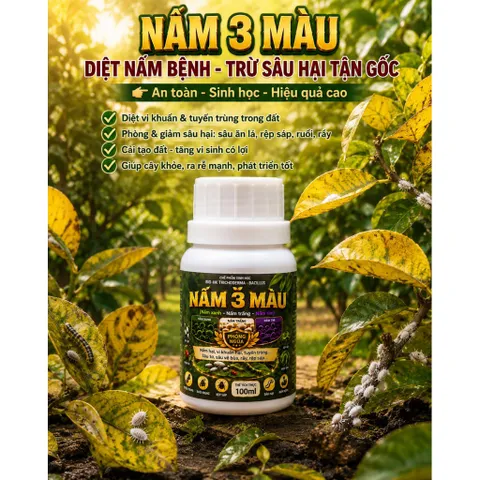 NẤM 3 MÀU BIO-HK.Ins 100ml | Diệt Nấm Bệnh - Trừ Rệp Sáp, Tuyến Trùng, Sâu Hại Tận Gốc | Chế Phẩm Sinh Học An Toàn