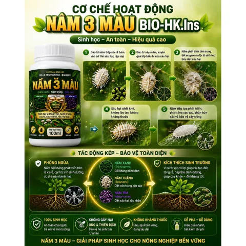NẤM 3 MÀU BIO-HK.Ins 100ml | Diệt Nấm Bệnh - Trừ Rệp Sáp, Tuyến Trùng, Sâu Hại Tận Gốc | Chế Phẩm Sinh Học An Toàn