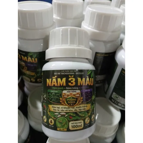 NẤM 3 MÀU BIO-HK.Ins 100ml | Diệt Nấm Bệnh - Trừ Rệp Sáp, Tuyến Trùng, Sâu Hại Tận Gốc | Chế Phẩm Sinh Học An Toàn