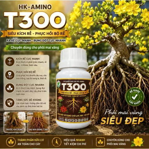 T300 Siêu Kích Rễ Phục Hồi Bộ Rễ Cực Mạnh – Ra Rễ Tơ Nhanh, Bung Đọt Khỏe Cho Mai Vàng, Hoa Giấy, Bonsai