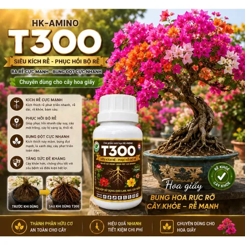 T300 Siêu Kích Rễ Phục Hồi Bộ Rễ Cực Mạnh – Ra Rễ Tơ Nhanh, Bung Đọt Khỏe Cho Mai Vàng, Hoa Giấy, Bonsai
