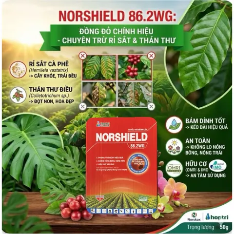 [Tặng cọ quét] Thuốc Trừ Bệnh Norshield 86.2WG Gói 50g – Đặc trị nấm, sạch bệnh nhanh, an toàn cây trồng
