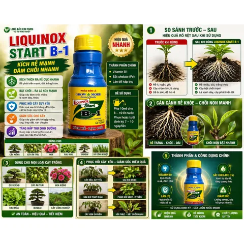 [Combo 5 chai] Liquinox Start B1 Kích Rễ Cực Mạnh – Phục Hồi Cây Suy, Bật Chồi Nhanh, Dùng Cho Mọi Loại Cây Trồng