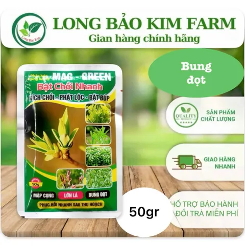 [Combo 10 gói] BẬT CHỒI NHANH – ĐÁNH THỨC MẦM NON, CÂY BẬT CHỒI CỰC MẠNH