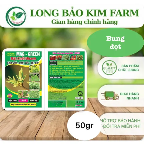 [Combo 10 gói] BẬT CHỒI NHANH – ĐÁNH THỨC MẦM NON, CÂY BẬT CHỒI CỰC MẠNH
