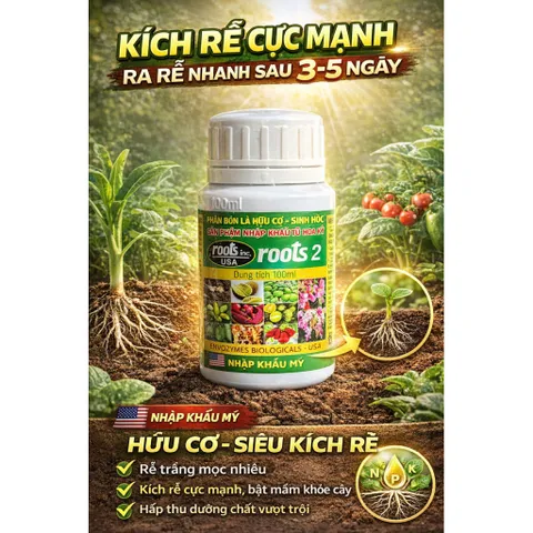 ROOTS 2 – KÍCH RỄ MẠNH, BẬT CHỒI NHANH, PHỤC HỒI CÂY SUY CHAI 100ml