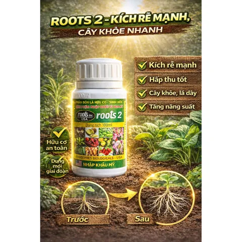 ROOTS 2 – KÍCH RỄ MẠNH, BẬT CHỒI NHANH, PHỤC HỒI CÂY SUY CHAI 100ml
