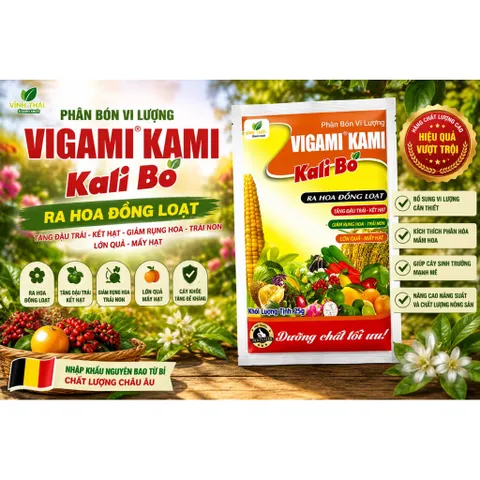 COMBO 10 GÓI SIÊU KALI BO RA HOA ĐẬU QUẢ CHỐNG RỤNG TRÁI NON GÓI 25GR