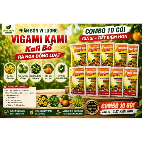COMBO 10 GÓI SIÊU KALI BO RA HOA ĐẬU QUẢ CHỐNG RỤNG TRÁI NON GÓI 25GR