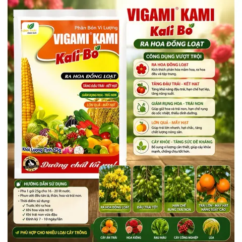 COMBO 10 GÓI SIÊU KALI BO RA HOA ĐẬU QUẢ CHỐNG RỤNG TRÁI NON GÓI 25GR