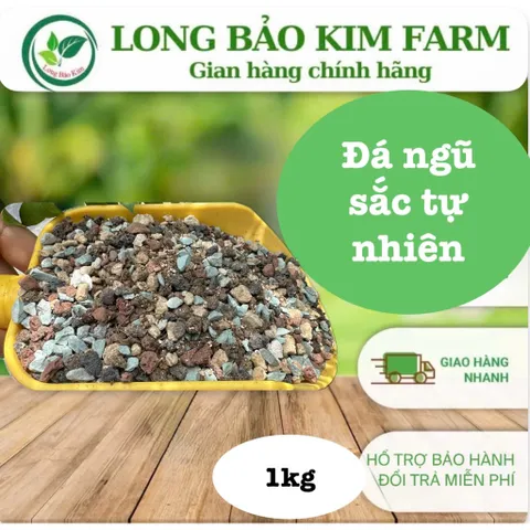 Đá ngũ sắc Rải Mặt Đất Cho Sen Đá Xương Rồng Kích Rễ Giữ Màu Sen Đá Chống Văng Khi Tưới túi 1kg