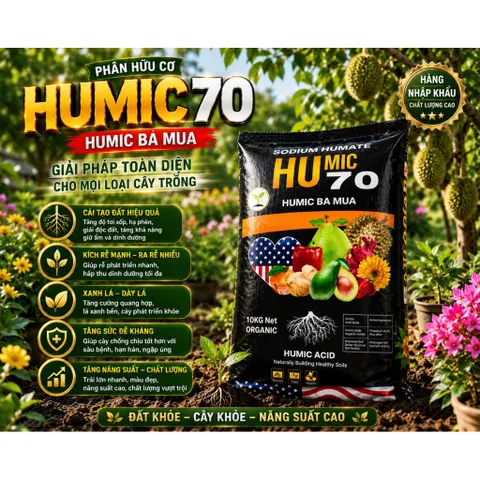 Humic 70 Humic Ba Mùa Bao 10KG Nhập Khẩu | Kích Rễ Cải Tạo Đất Hạ Phèn Giải Độc Đất Cho Sầu Riêng Mai Vàng Hoa Giấy