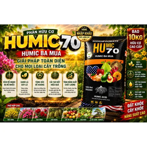 Humic 70 Humic Ba Mùa Bao 10KG Nhập Khẩu | Kích Rễ Cải Tạo Đất Hạ Phèn Giải Độc Đất Cho Sầu Riêng Mai Vàng Hoa Giấy