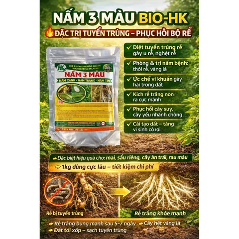 Nấm 3 Màu Bio-HK 1KG – Giải Pháp Vi Sinh Giảm Tuyến Trùng, Nấm Bệnh, Kích Rễ Khỏe – Cải Tạo Đất Hiệu Quả
