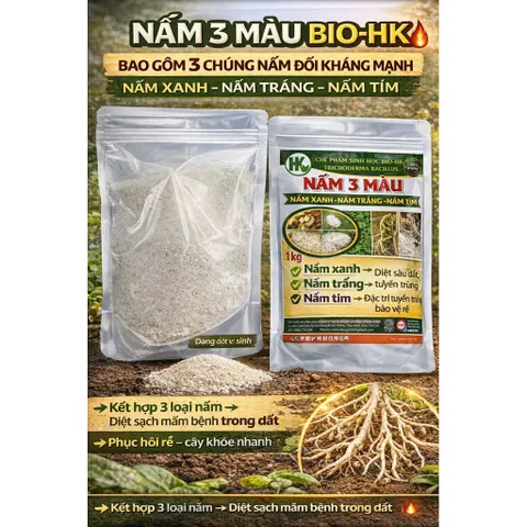 Nấm 3 Màu Bio-HK 1KG – Giải Pháp Vi Sinh Giảm Tuyến Trùng, Nấm Bệnh, Kích Rễ Khỏe – Cải Tạo Đất Hiệu Quả