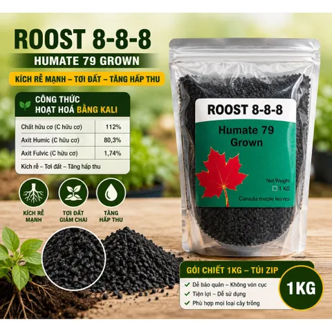Humic Vảy ROOST 8-8-8 Túi Chiết 500gr - 1KG – Kích Rễ Mạnh, Tơi Đất, Tăng Hấp Thu
