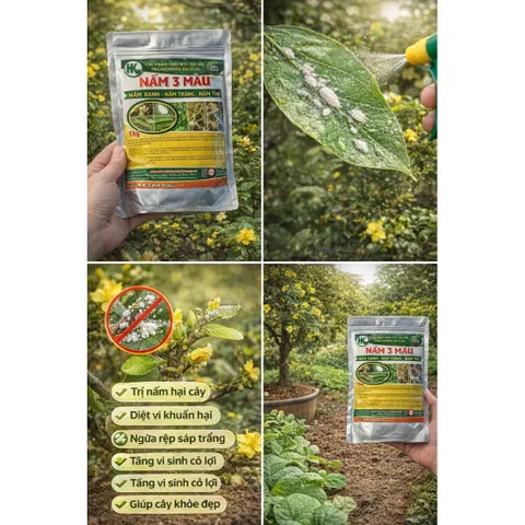 Nấm 3 Màu Bio-HK 1KG – Giải Pháp Vi Sinh Giảm Tuyến Trùng, Nấm Bệnh, Kích Rễ Khỏe – Cải Tạo Đất Hiệu Quả
