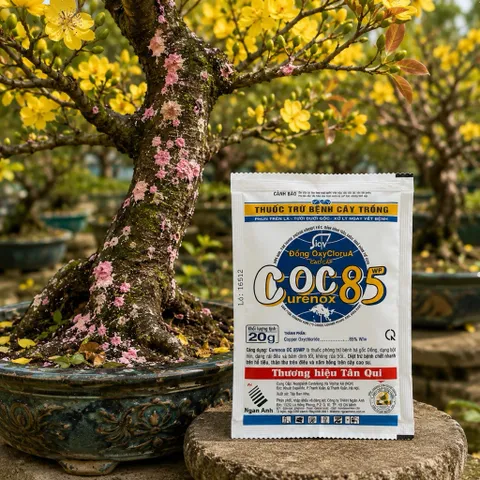 [ Combo 5 gói ] COC85 WP 20g Đồng Oxyclorua Đặc Trị Nấm Hồng Thán Thư Xì Mủ Thối Cành Cây Mai Cây Cảnh