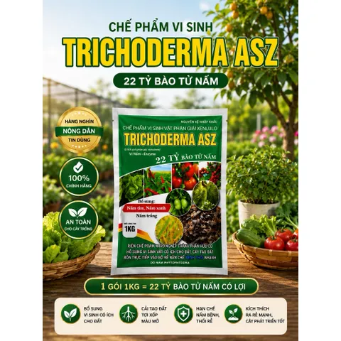 Nấm Trichoderma 1kg 22 tỷ bào tử nấm lệ siêu cải tạo đất trồng phòng trừ nấm rễ cây