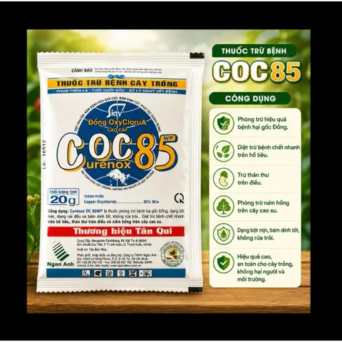 Hộp 10 gói Thuốc Trị Nấm Cây Trồng , Coc85 Wp, Gói 20gr, Trừ Đốm Lá Cho Hoa Hồng, Cây Cảnh, Cây Ăn Quả