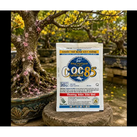 Hộp 10 gói Thuốc Trị Nấm Cây Trồng , Coc85 Wp, Gói 20gr, Trừ Đốm Lá Cho Hoa Hồng, Cây Cảnh, Cây Ăn Quả