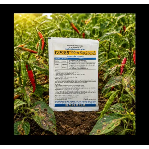 Hộp 10 gói Thuốc Trị Nấm Cây Trồng , Coc85 Wp, Gói 20gr, Trừ Đốm Lá Cho Hoa Hồng, Cây Cảnh, Cây Ăn Quả