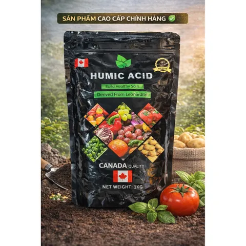 {DẠNG BỘT}Phân Bón Humic Acid Canada Nhập Khẩu Kích Ra Rễ Cực Mạnh - Túi 1Kg