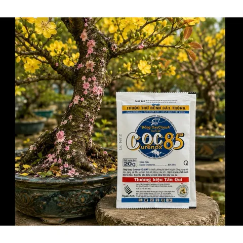 Hộp 10 gói Thuốc Trị Nấm Cây Trồng , Coc85 Wp, Gói 20gr, Trừ Đốm Lá Cho Hoa Hồng, Cây Cảnh, Cây Ăn Quả