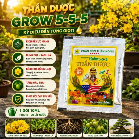 Hộp 10 Gói Phân Bón Lá Thần Dược Grow 5-5-5 10ml Kích Rễ Bung Đọt Ra Hoa Đậu Trái Phục Hồi Cây Trồng