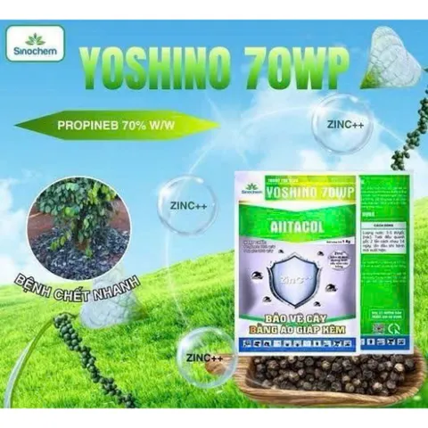 Siêu Áo Giáp Kẽm 100g – Bảo Vệ Cây Trồng Khỏi Nấm Khuẩn, Chống Cháy Lá – Thuốc Trị Bệnh Cây AIITACOL Yoshino 70WP