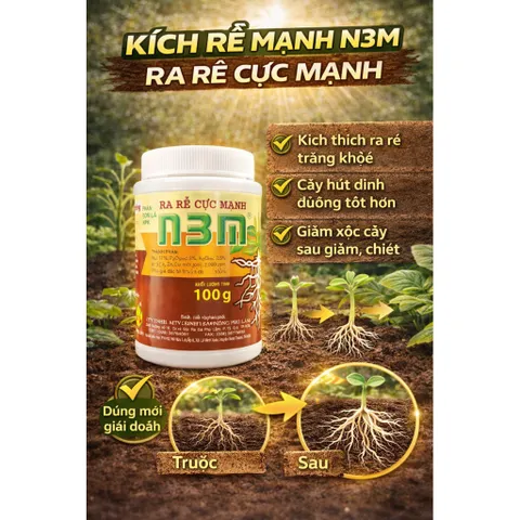 Kích Rễ N3M 100g – Ra rễ cực mạnh, phục hồi cây nhanh, hàng chuẩn Phú Lâm