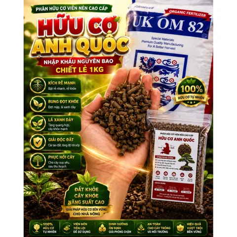 Phân Hữu Cơ Viên Nén Anh Quốc UK OM82 1KG | Hàng Nhập Khẩu Nguyên Bao | Kích Rễ Bung Đọt Cải Tạo Đất Cho mai vàng