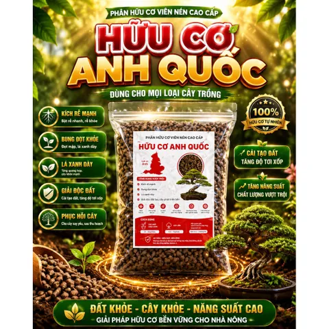 Phân Hữu Cơ Viên Nén Anh Quốc UK OM82 1KG | Hàng Nhập Khẩu Nguyên Bao | Kích Rễ Bung Đọt Cải Tạo Đất Cho mai vàng