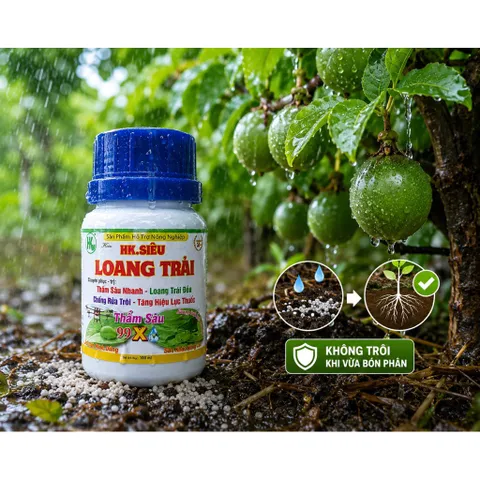HK Siêu Loang Trải 100ml - Siêu Bám Dính Chống Rửa Trôi, Giữ Phân Thuốc Bám Lá Lâu Hơn, Hiệu Lực 99X