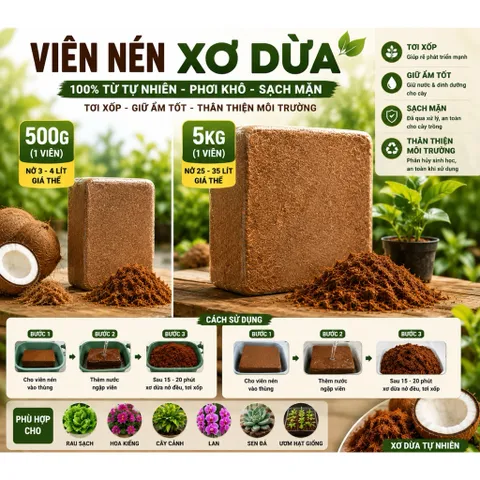 Combo 10 Viên Sơ Dừa Nén 500G/Viên - Xơ Dừa Ép Khối Giữ Ẩm Tốt Trồng Rau Hoa Lan Sen Đá Cây Cảnh