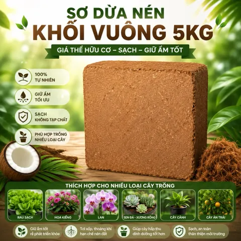 Combo 10 Viên Sơ Dừa Nén 500G/Viên - Xơ Dừa Ép Khối Giữ Ẩm Tốt Trồng Rau Hoa Lan Sen Đá Cây Cảnh